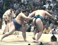 Sumo